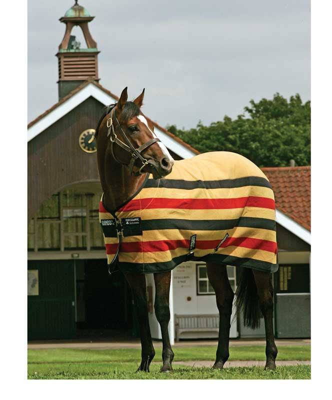 Rambo Newmarket Fleece Dress Sheet.