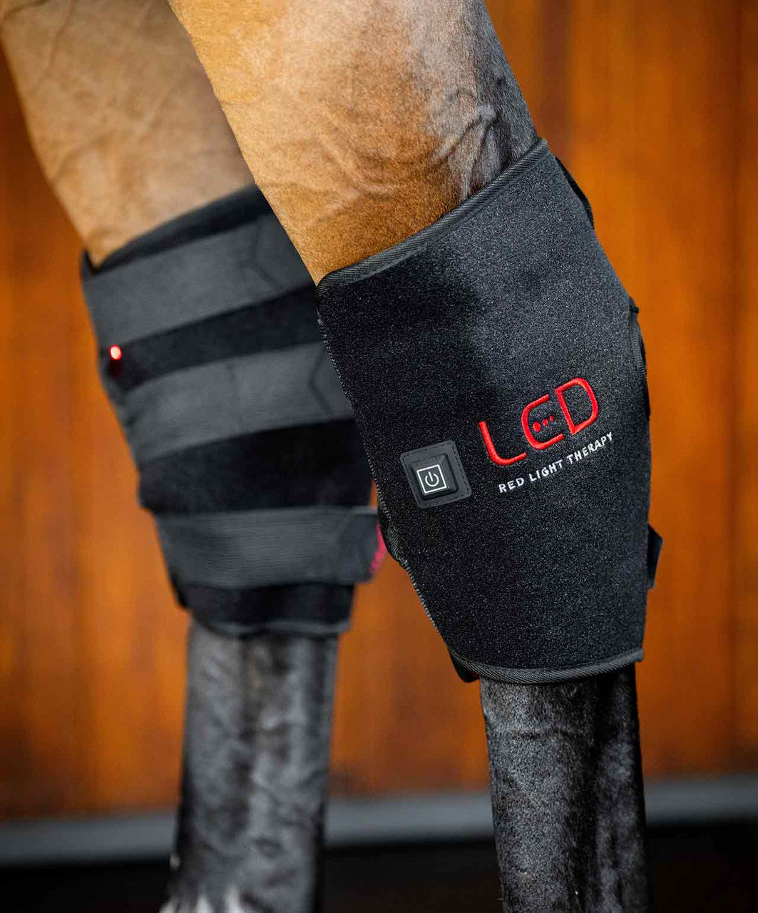 Horseware LED Red Light Therapy Hock Boot.