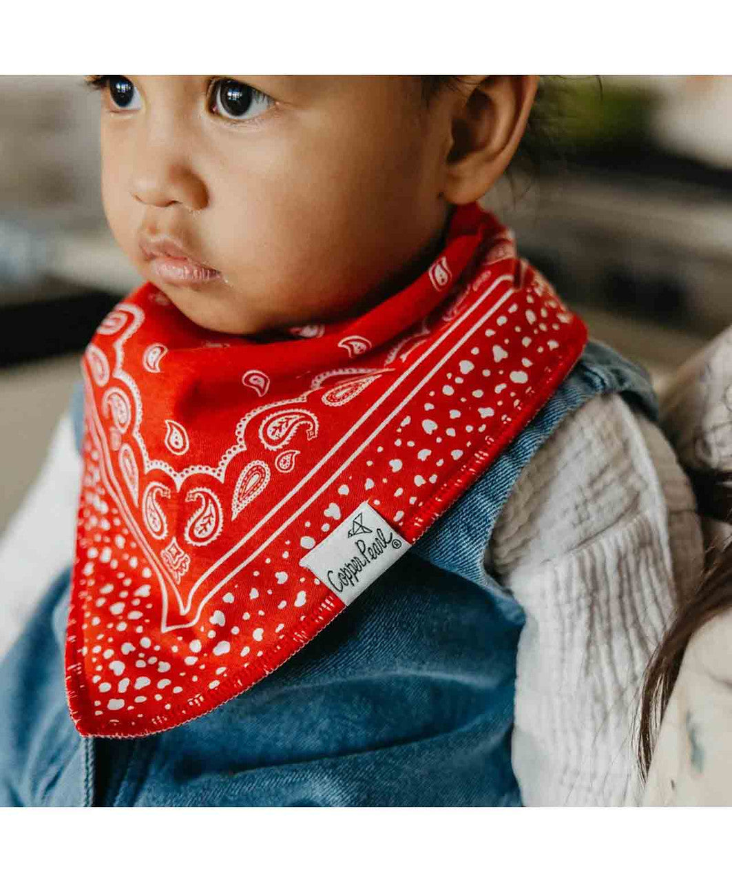 Copper Pearl Bandana Bib Set, Boone 1.