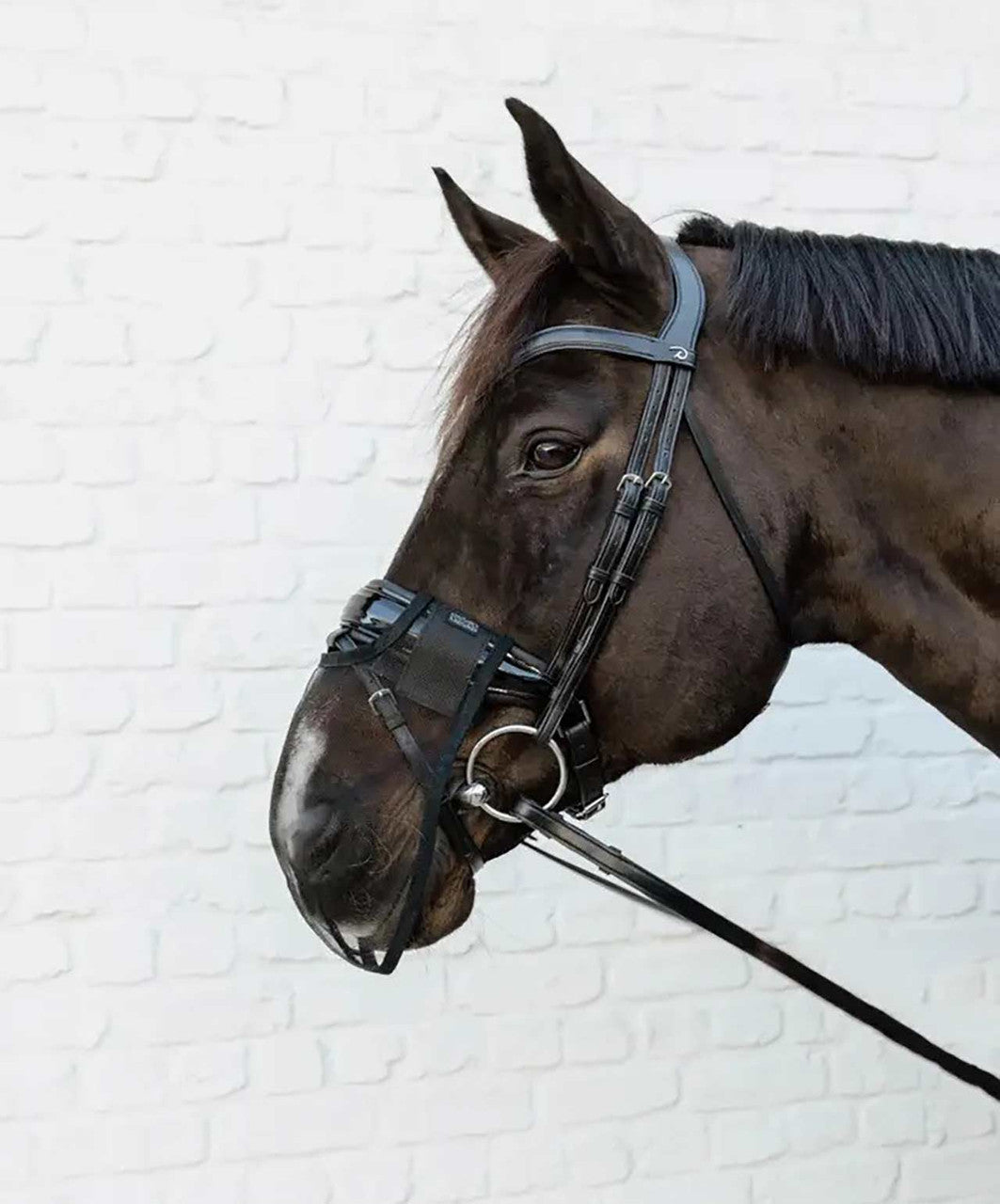 Kentucky Horsewear Anti Fly Nose Net.