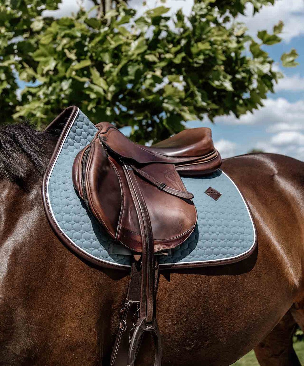 Kentucky Classic Leather Jump Pad.