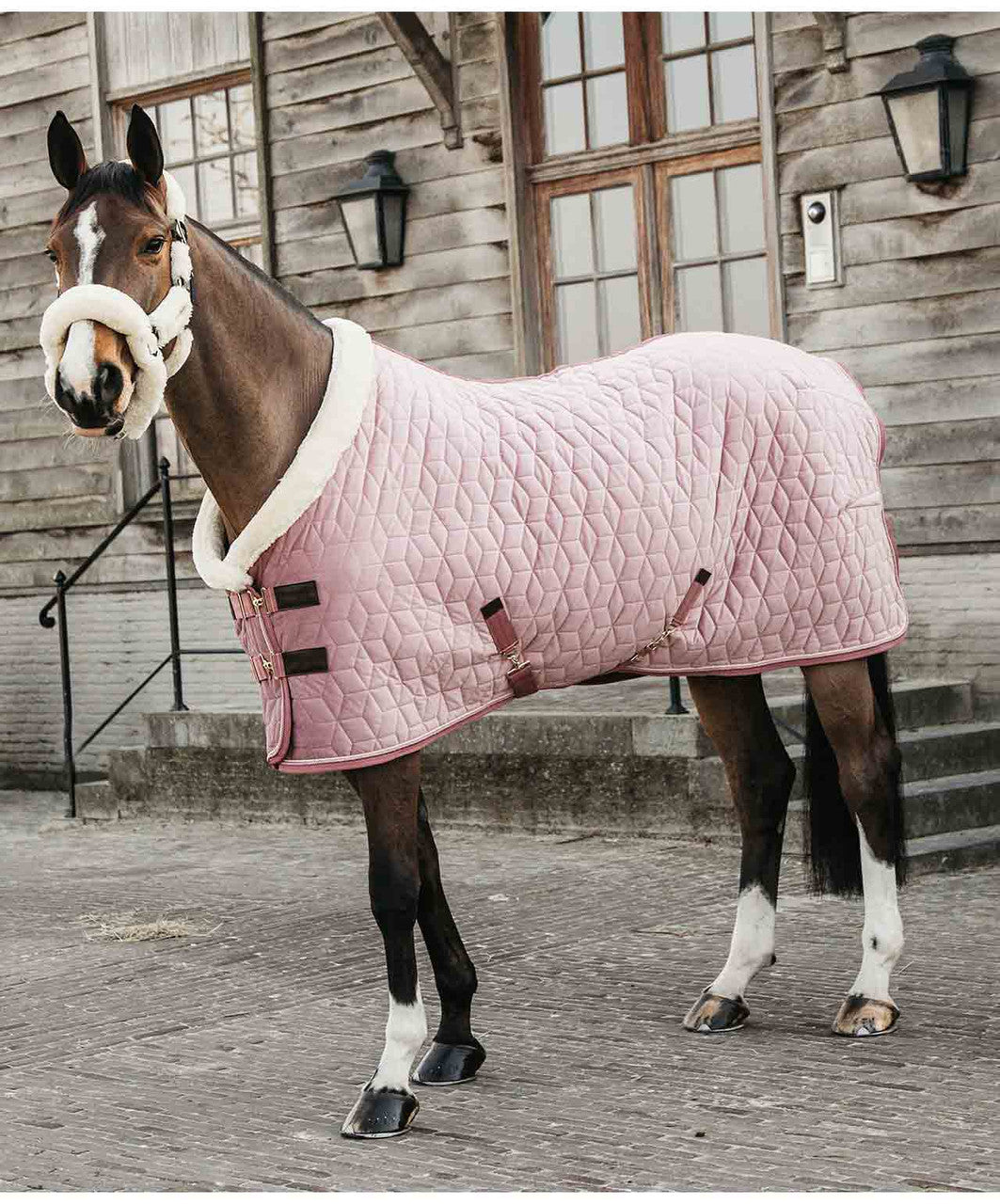 Kentucky Show Rug.