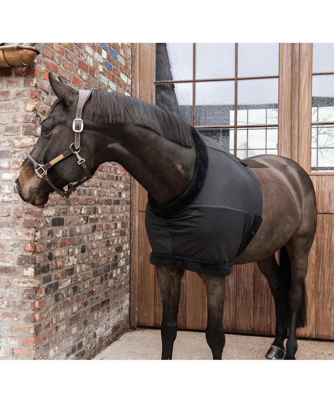 Kentucky Chest and Shoulder Guard.