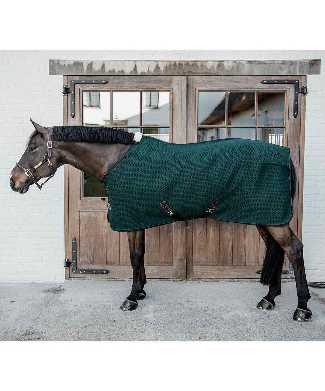 Kentucky Horsewear 4D Spacer Cooler.