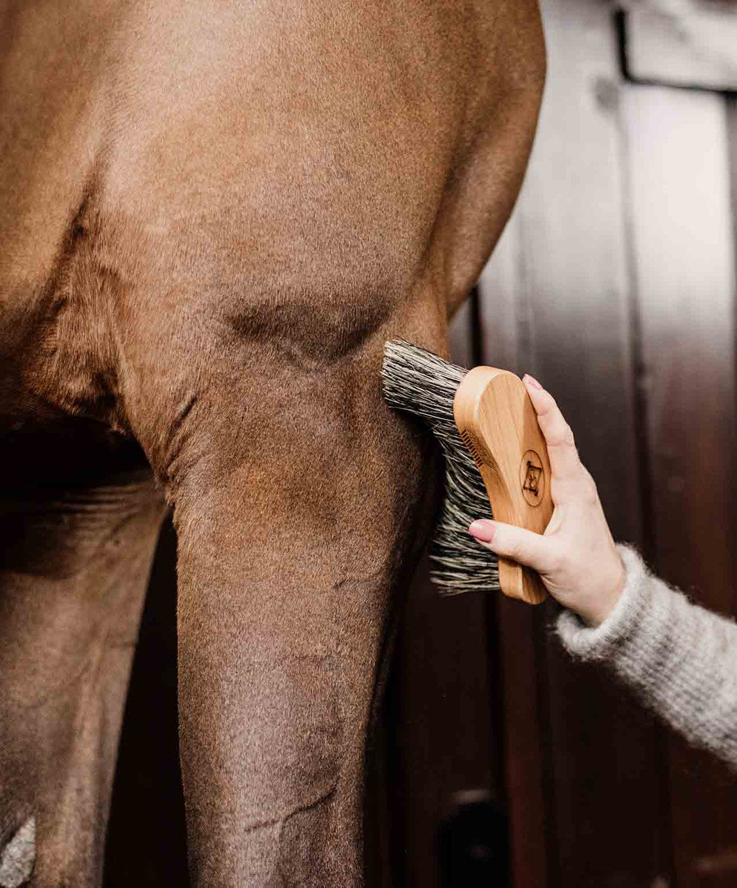 Kentucky Horsewear Middle Hard Brush.