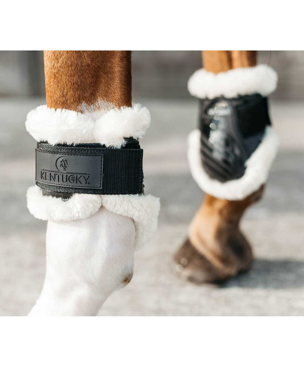 Kentucky Vegan Sheepskin Young Horse Fetlock Boot.