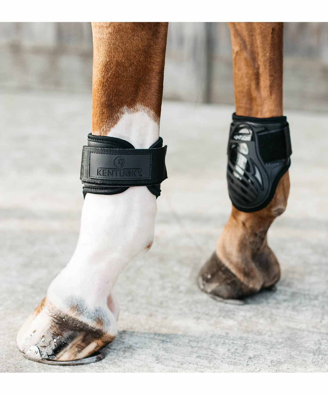 Kentucky Young Horse Fetlock Boot.