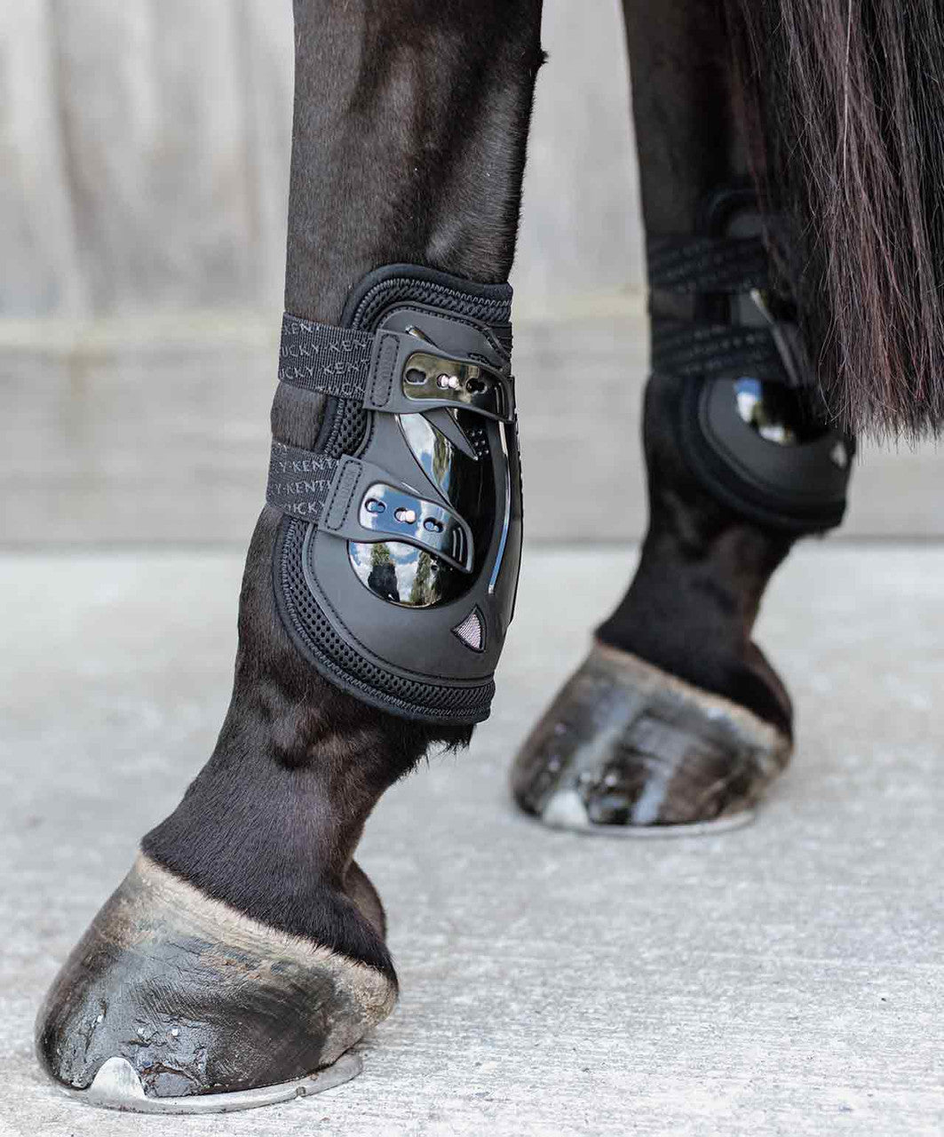 Kentucky Horsewear Moon Boot Air X Fetlock Boot.