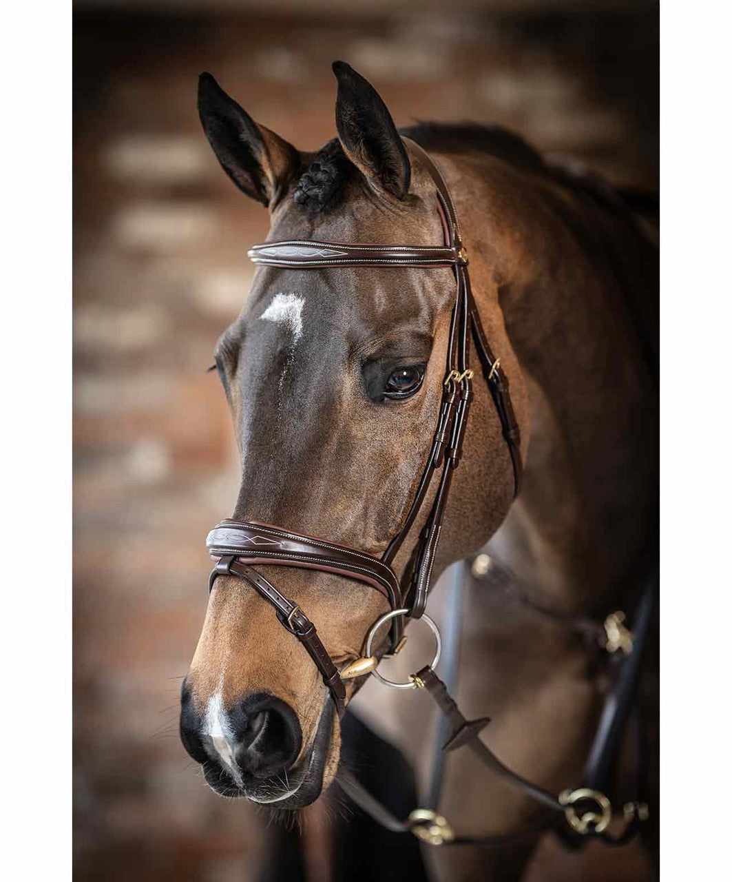 LeMieux Kudos Competition Flash Bridle.