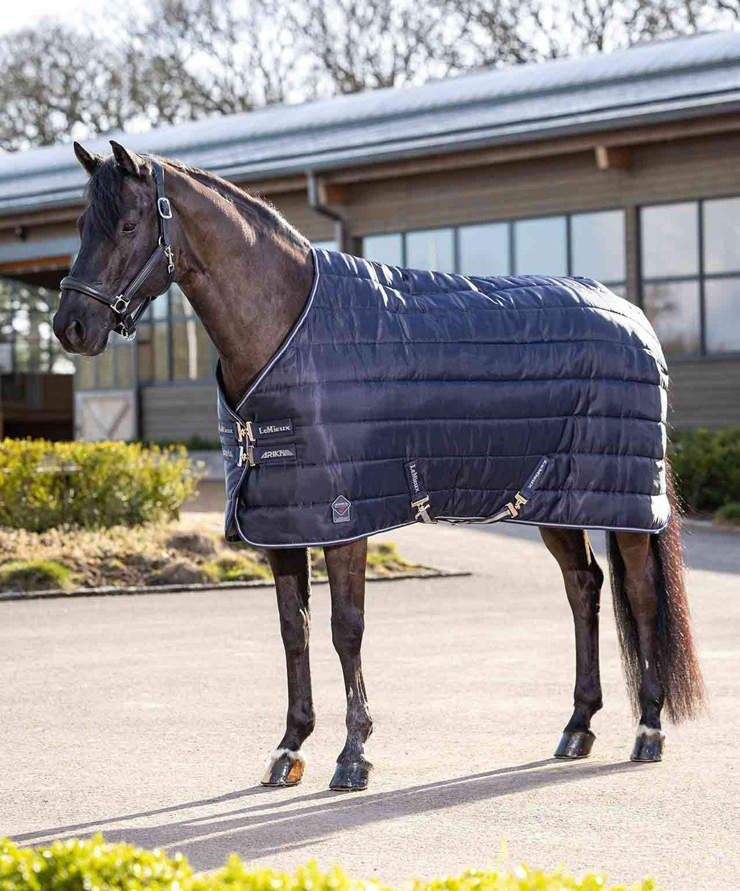 LeMieux Arika Stable Tek 350g Stable Blanket.