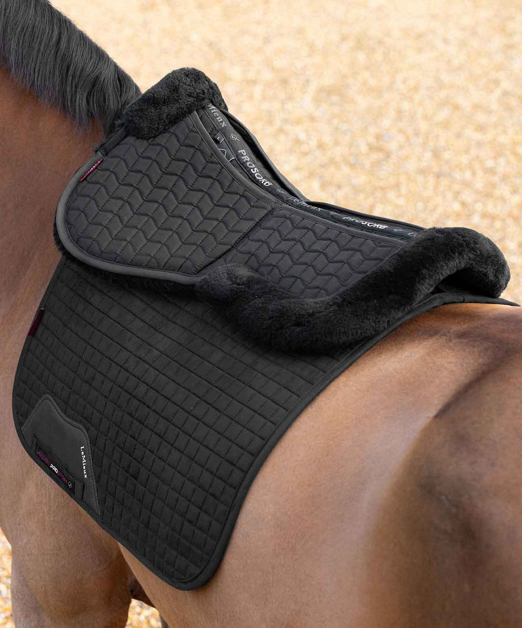 LeMieux ProSorb Merino+ Shimable Half Pad, 2 Pockets.