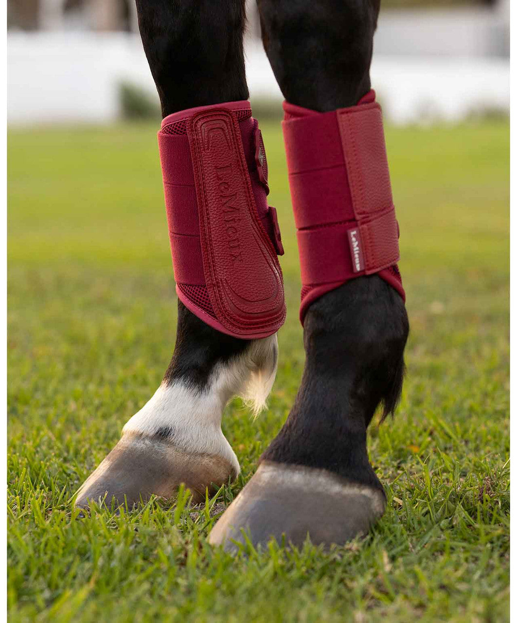 LeMieux Arika Mesh Brushing Boots FW24, Ember.
