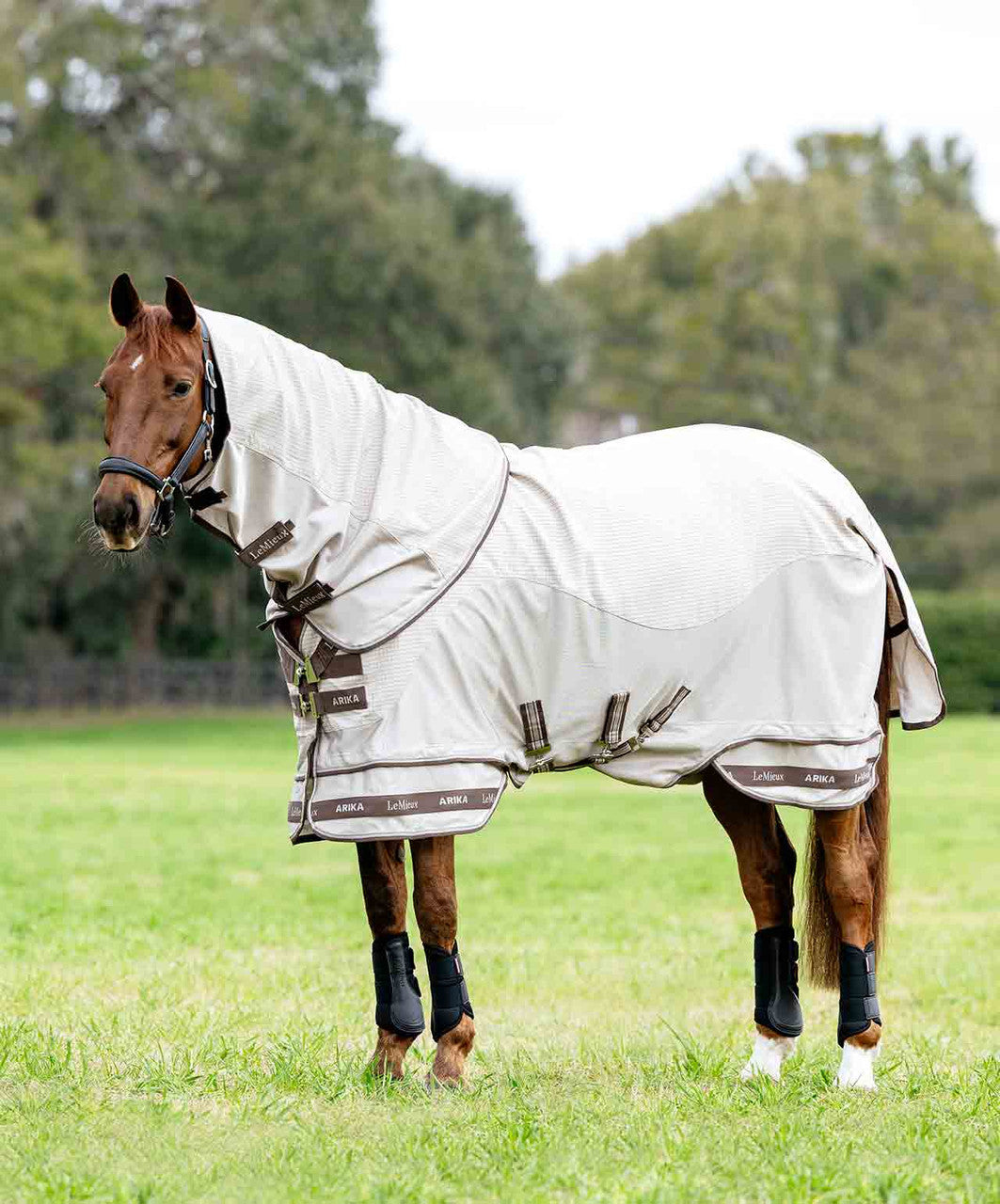 LeMieux Arika Sunstopper Turnout Sheet.