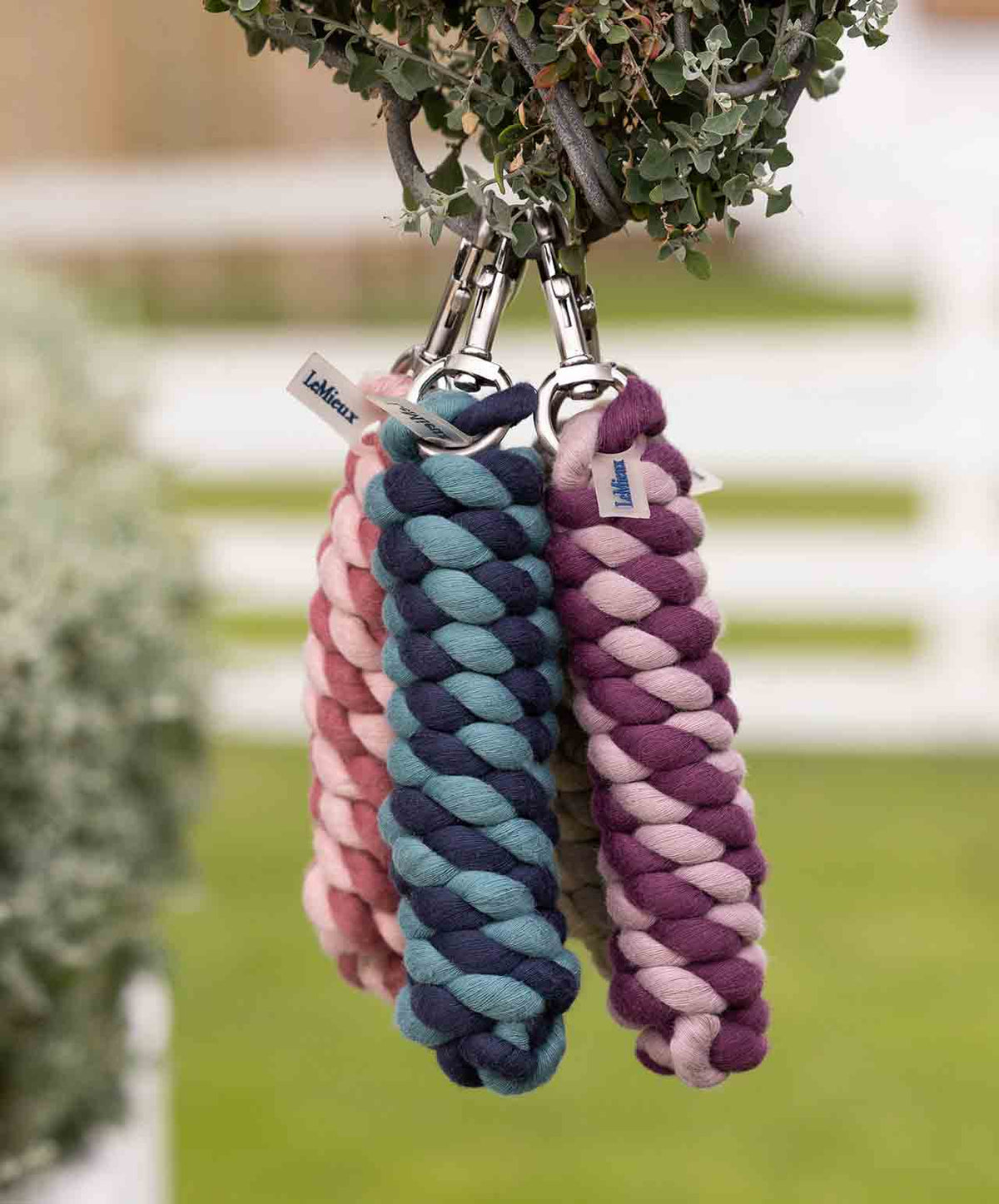 LeMieux Poly Cotton Lead Rope FW26, group shot. 