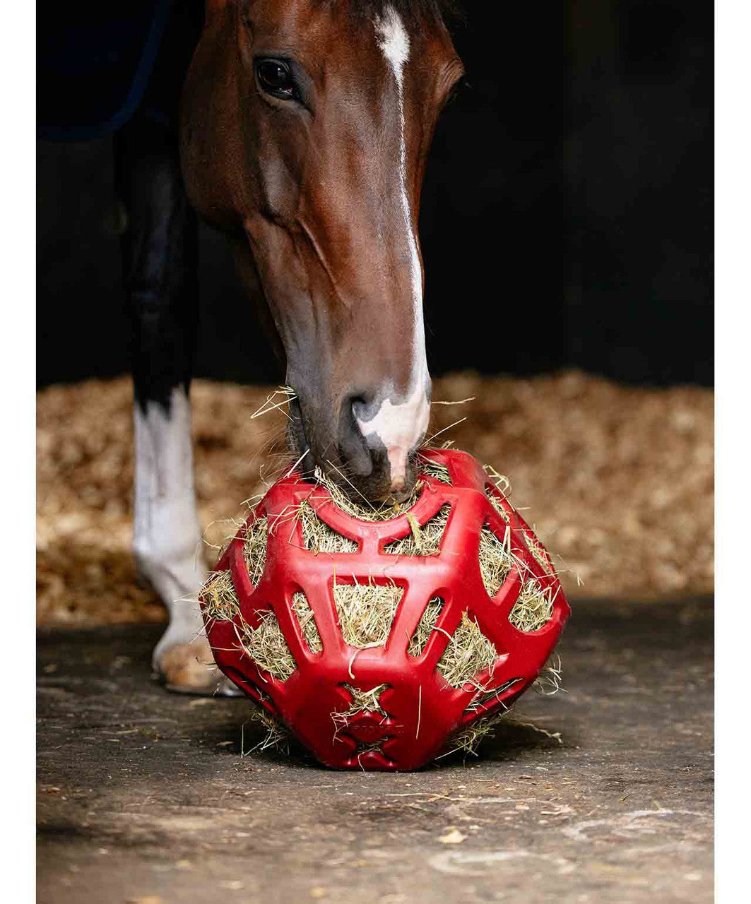 LeMieux Hay Ball.