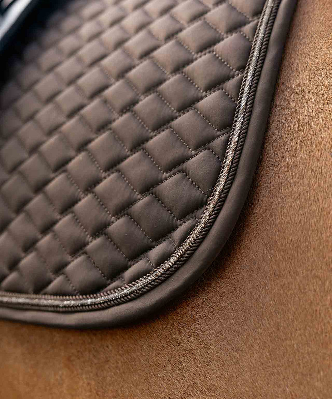 LeMieux Brilliance Close Contact Saddle Pad, Espresso, detail.