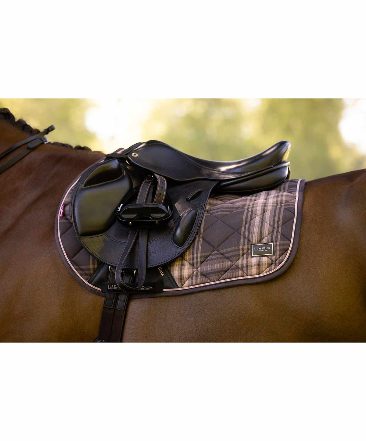 LeMieux Heritage Check Jump Pad FW26