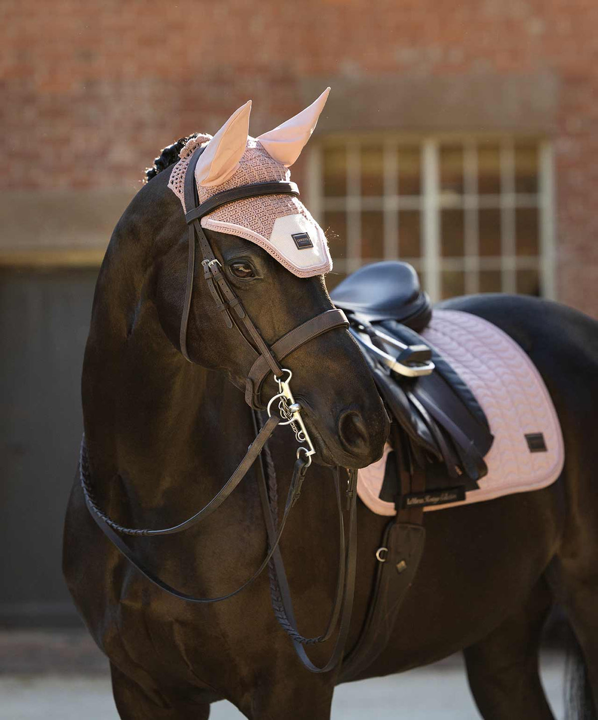 LeMieux Heritage Fly Veil, Old Rose, lifestyle. 