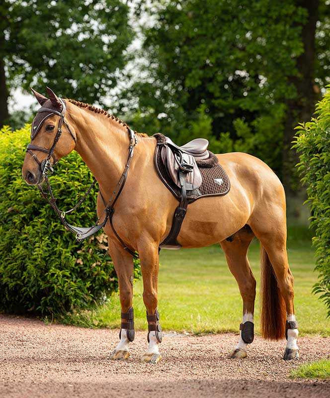 LeMieux Puissance Suede CC Jump Pad.