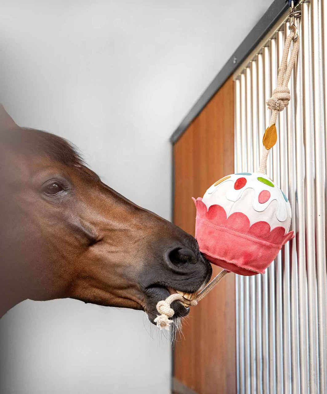 LeMieux Horse Stall Toy, Cupcake.