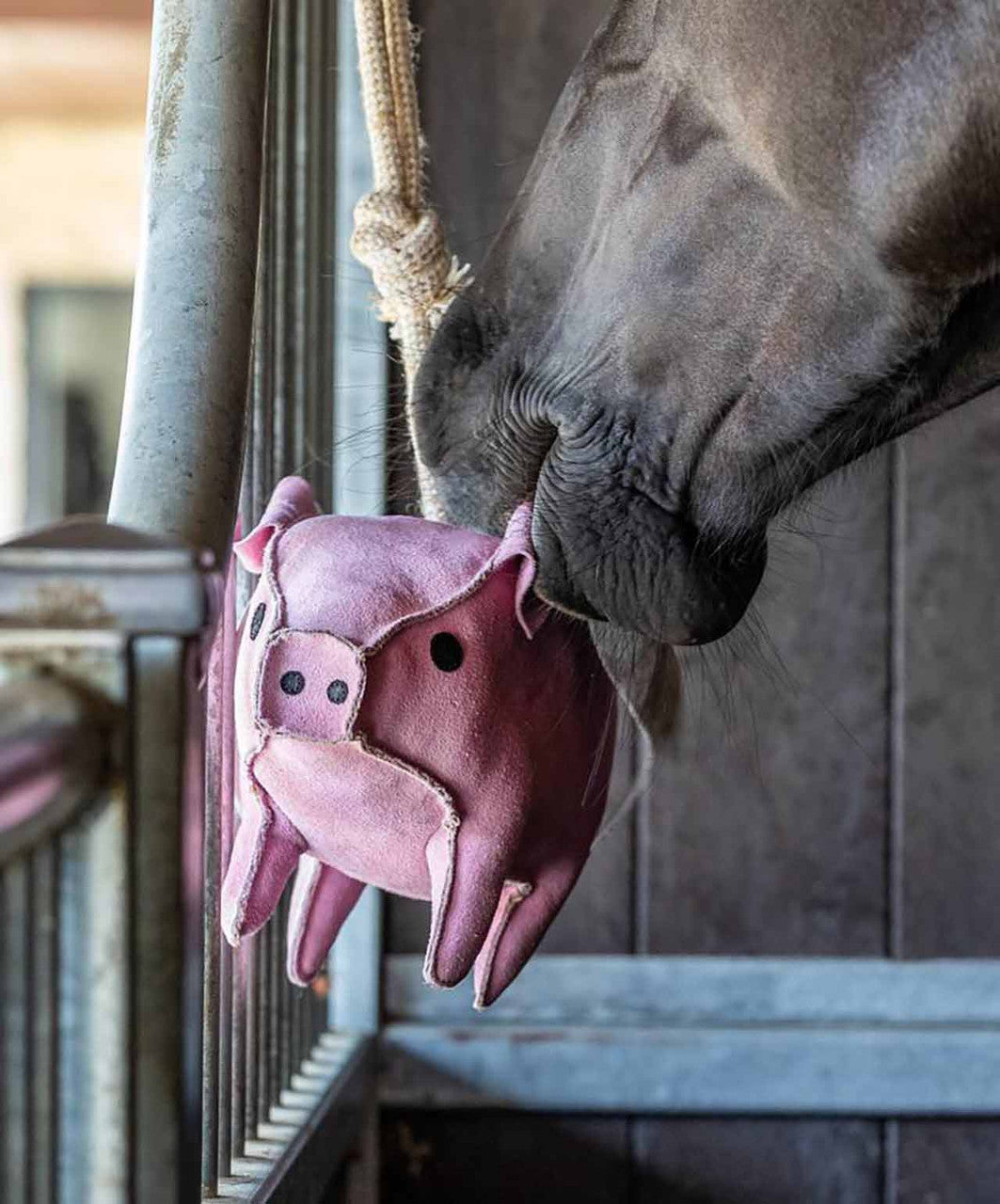 LeMieux Flying Pig Horse Toy.