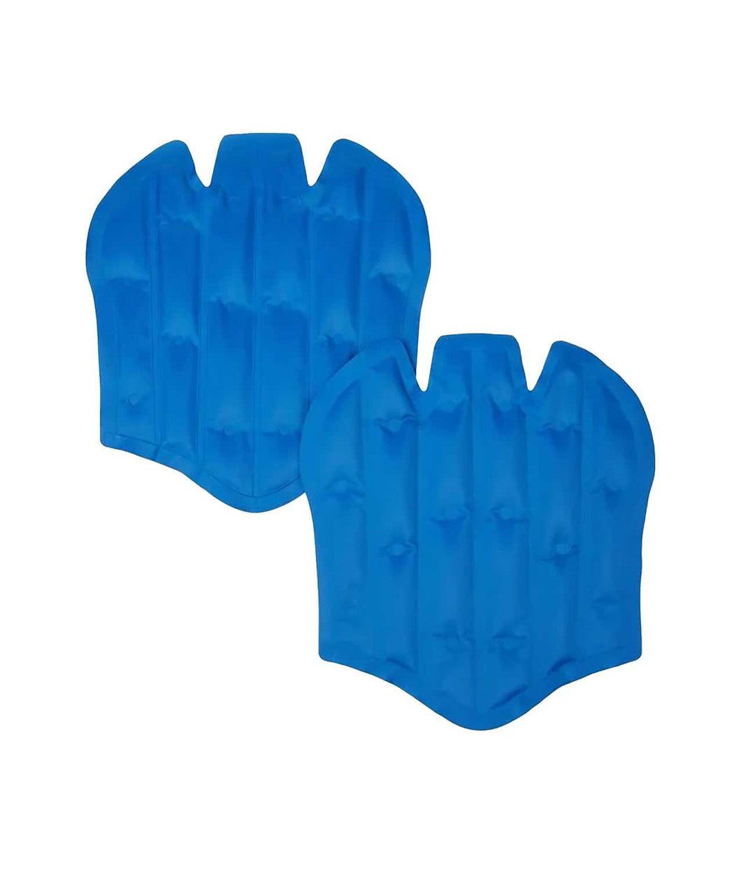 LeMieux ProIce Freeze Boot Gel Pack.