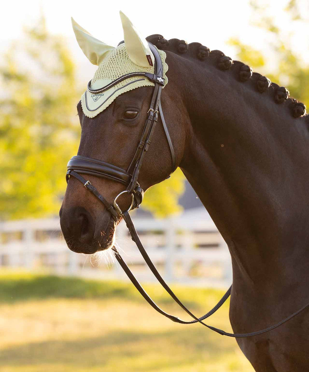 LeMieux Classic Fly Veil SS26, Macaron, Lifestyle.