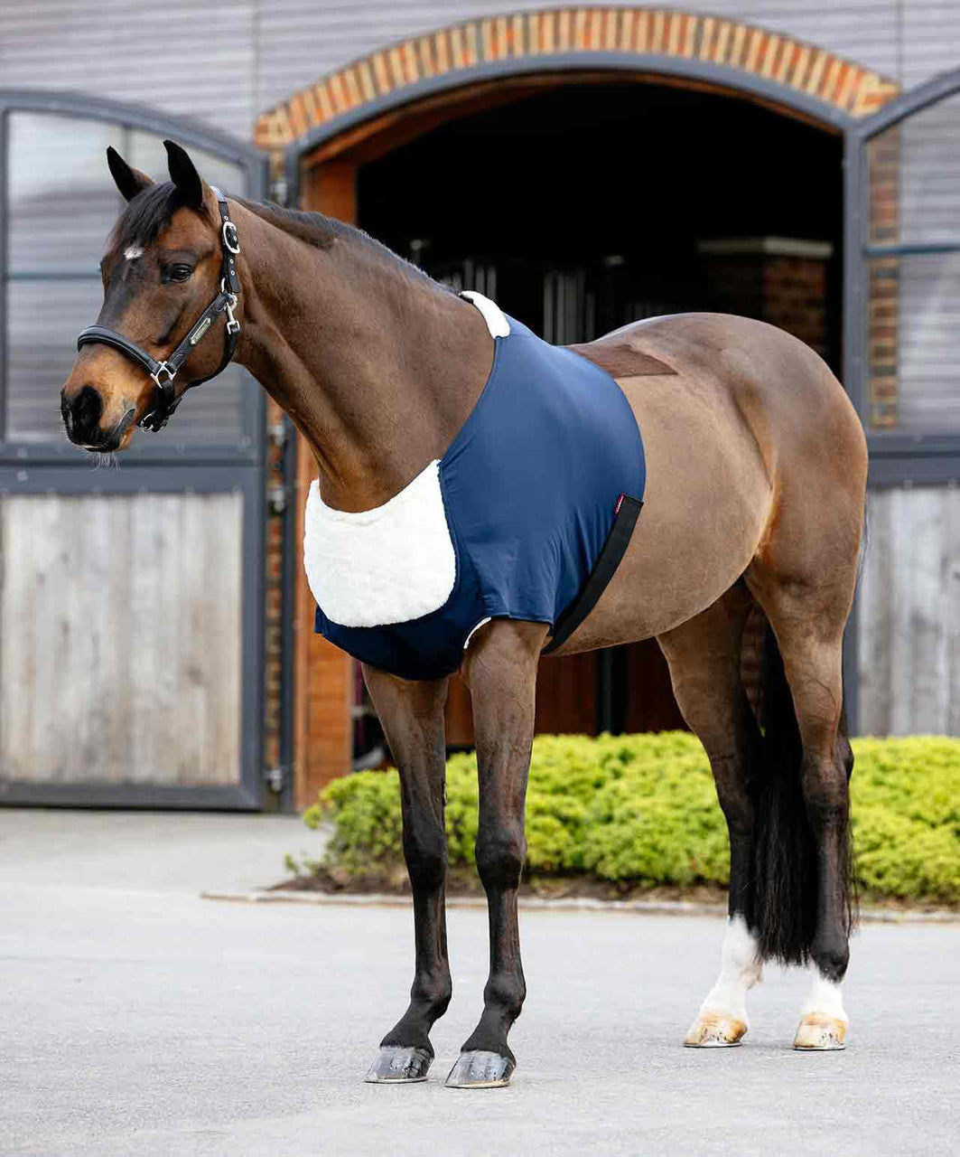 LeMieux Sensitive AntiRub Bib (Shoulder Guard)