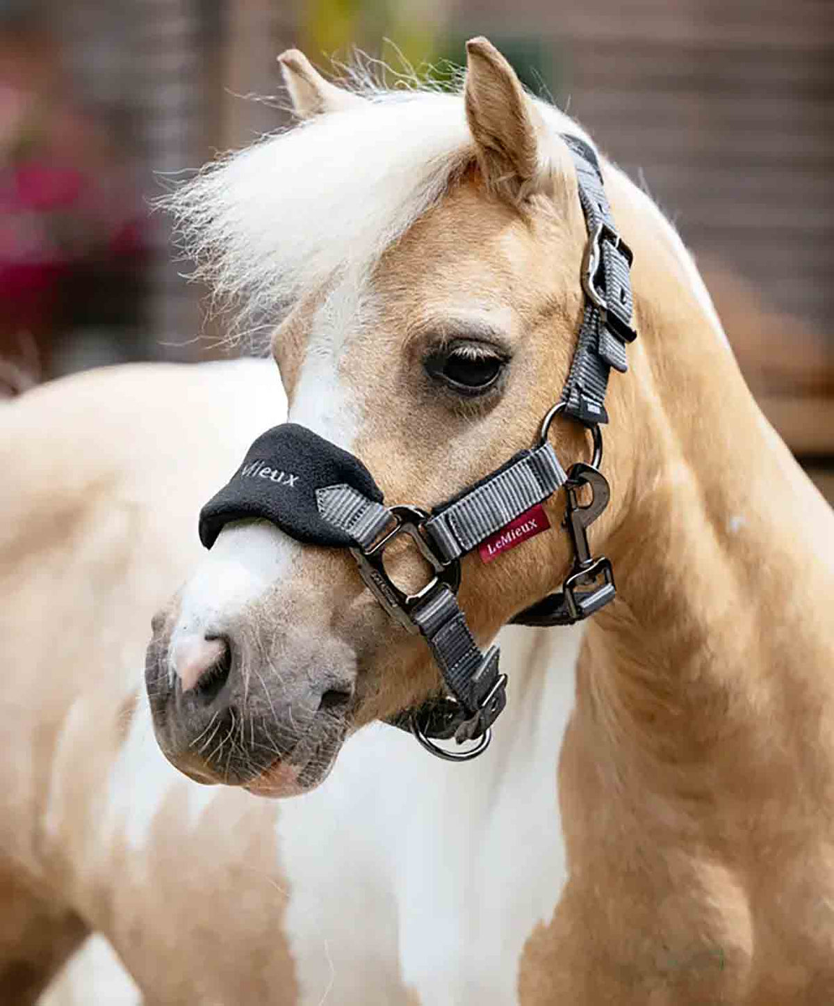 LeMieux Mini Bogue Halter & Lead Core Colours, lifestyle, Black