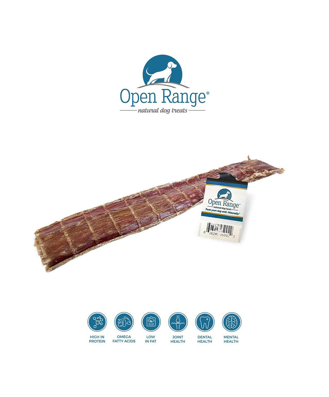 Open Range Beef Chomper Flattened Dog 11-12"
