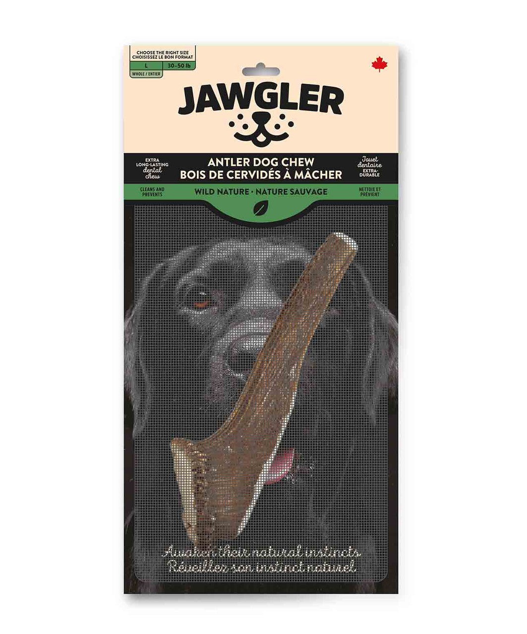 Jawgler Antler Dog Chew - Whole Wild Nature Large.