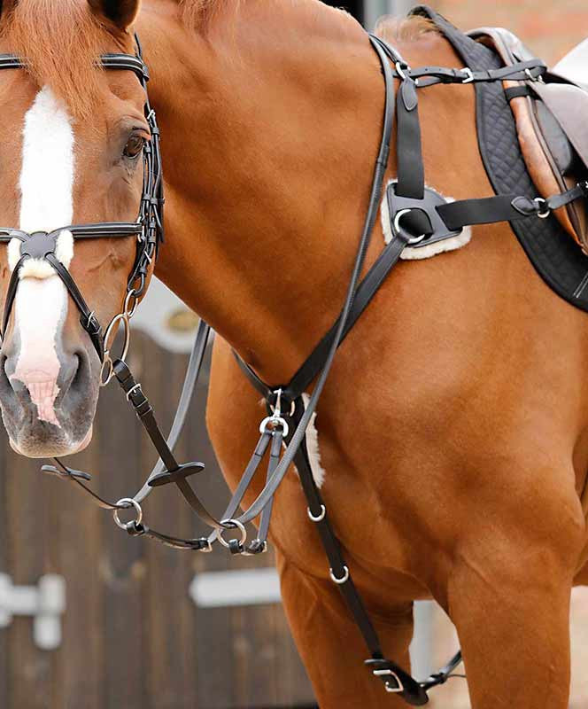 Premier Equine Invorio 5 Point Breastplate.