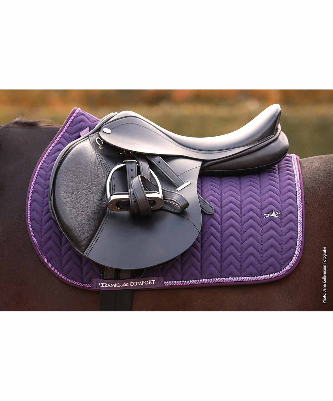 Schockemohle SP Ceramica Jump Saddle Pad FW26,  Dark Puple, lifestyle.