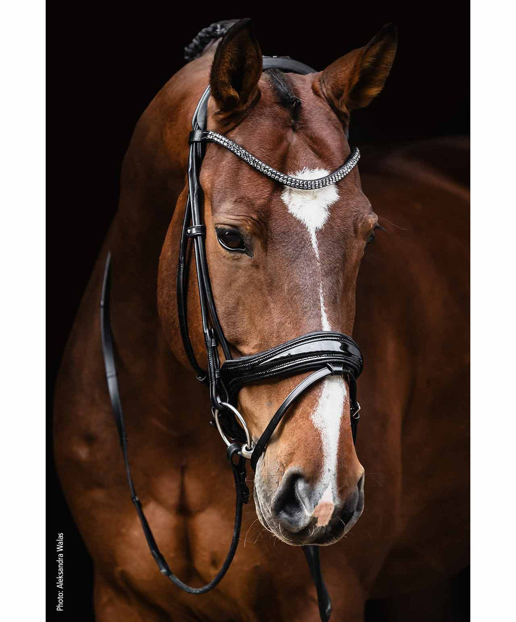 Schockemohle SP Isabell Werth Satchmo Patent Leather Bridle.