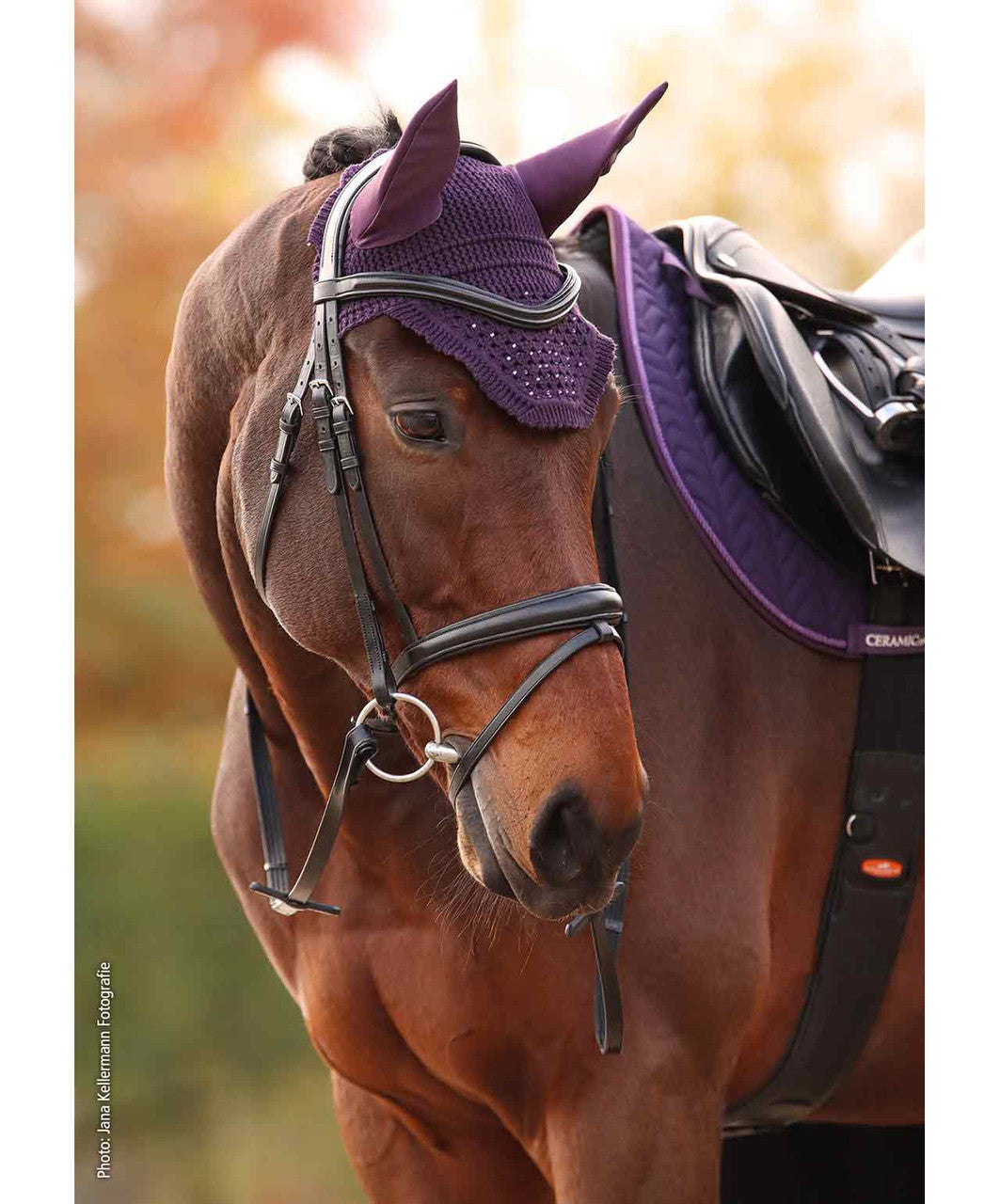 Schockemohle Sports SP Elegant Spark Fly Veil FW26.