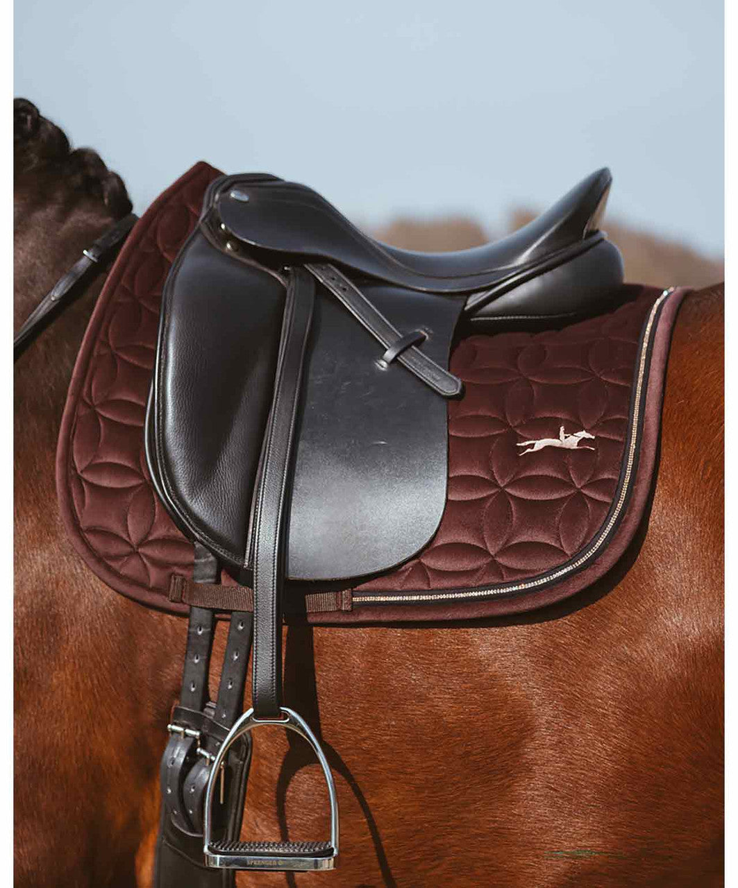 Schockemohle SP Soft Velvet Dressage Saddle Pad FW26.