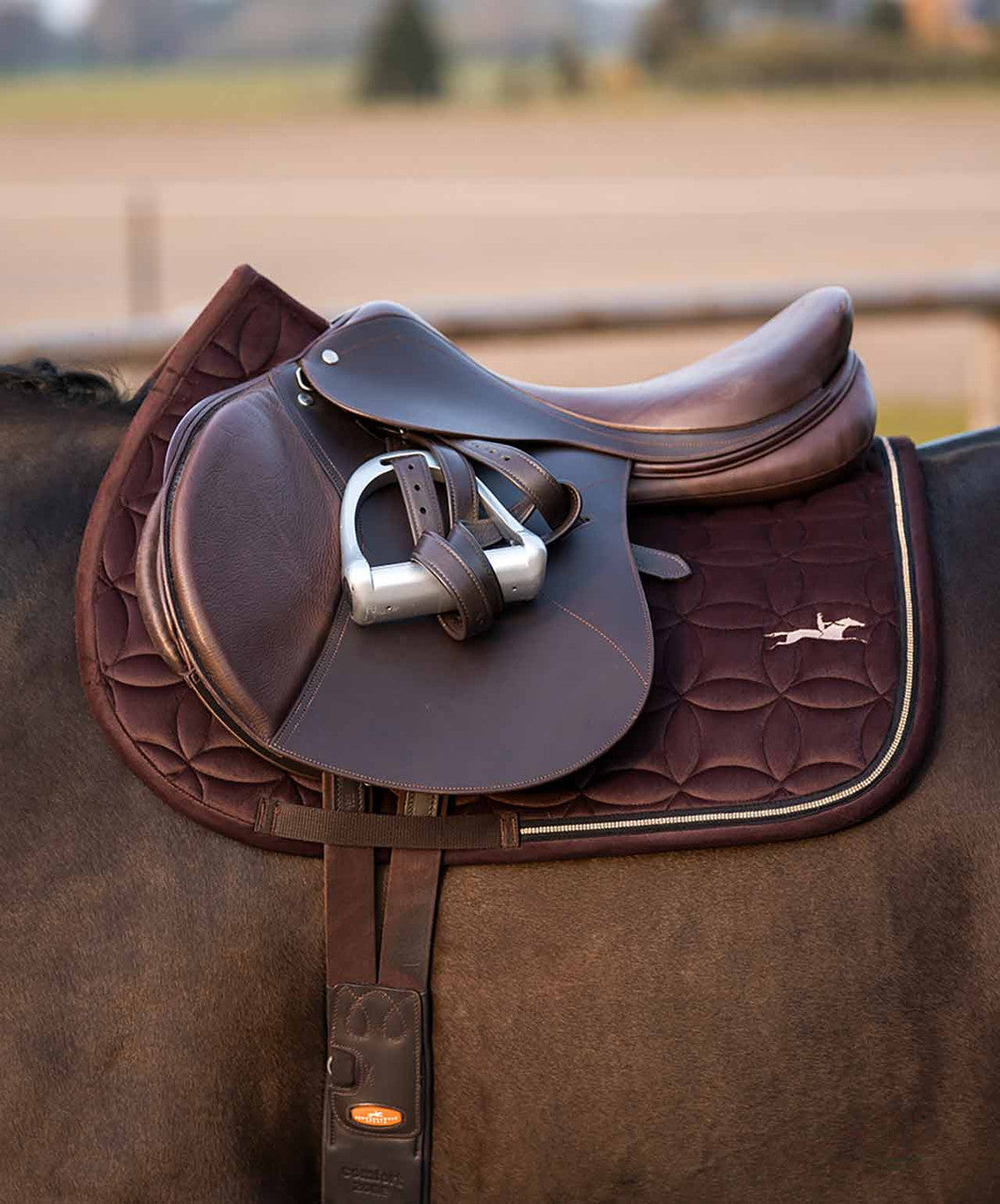 Schockemohle Soft Velvet Jump Saddle Pad FW26, Mocha, lifestyle.
