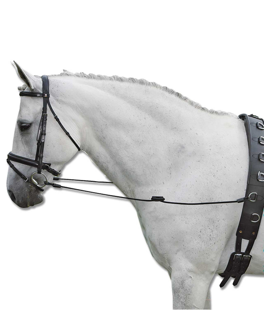 Waldhausen Elastic Side Reins.