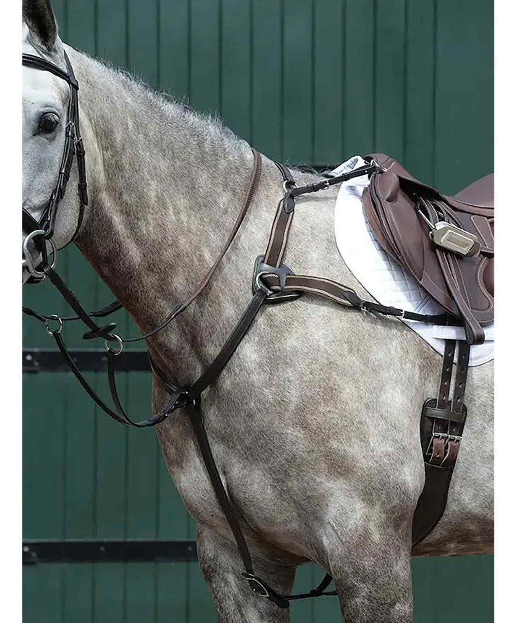 Collegiate Essential 5-Point Breastplate.