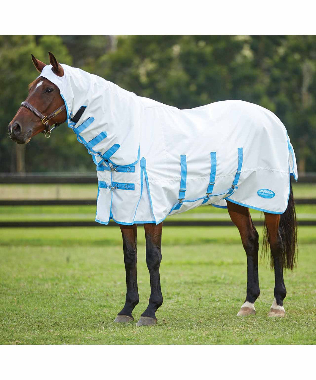 Weatherbeeta Comfitec Sweet Itch Shield Combo Neck Sheet.