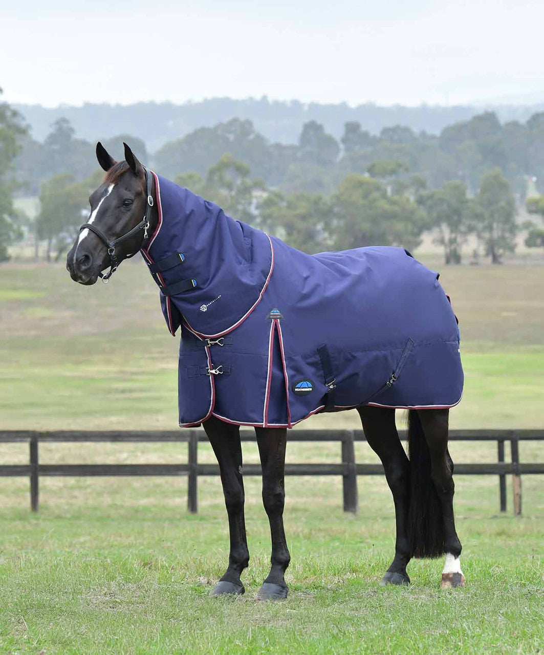 Weatherbeeta ComfiTex Essential Detach-A-Neck Medium Blanket.