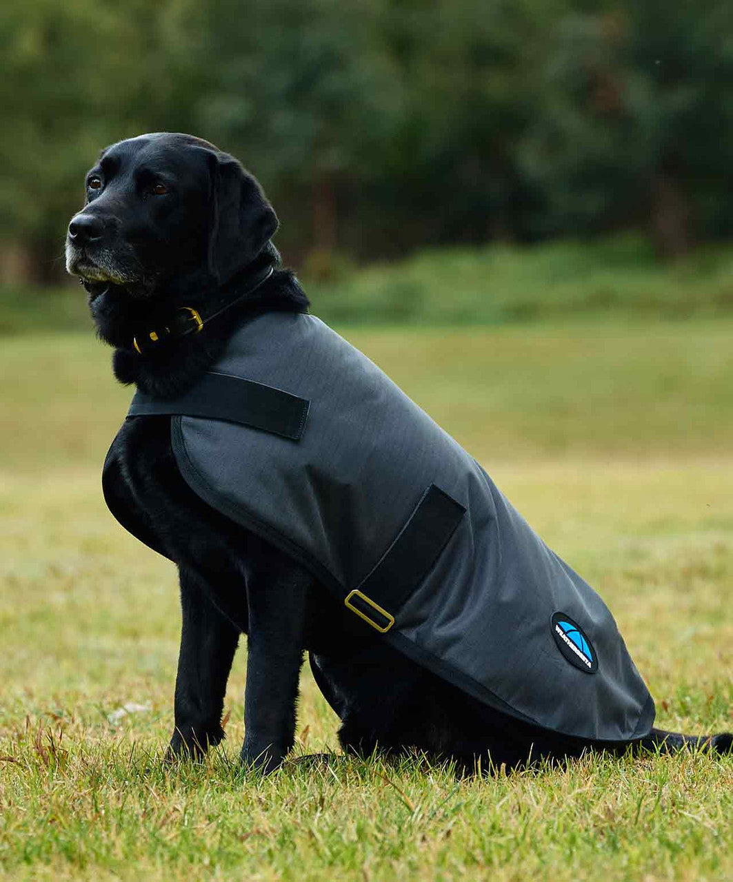 Weatherbeeta ComfiTec Classic Waterproof Dog Caot FW26.