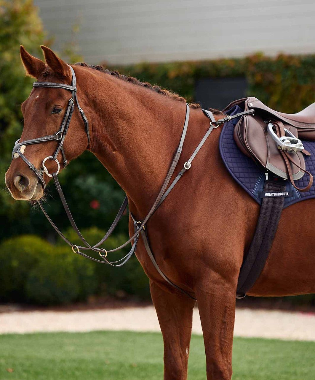 Dublin 3 Point Breastplate.
