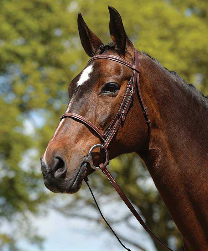 KIncade Raised Fancy Stitched Bridle.