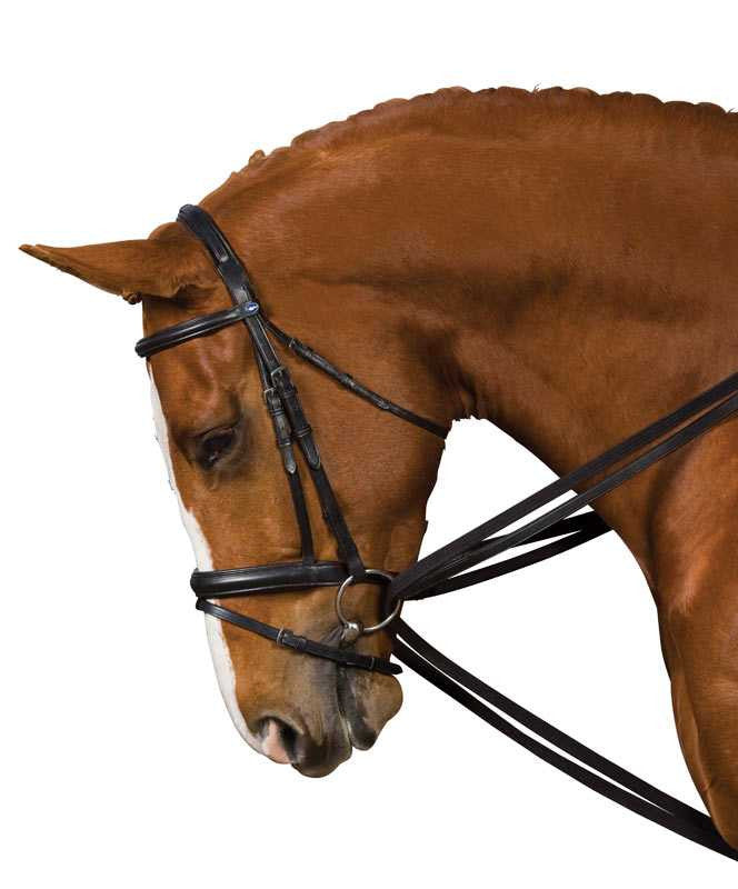 Kincade Leather Draw Reins.
