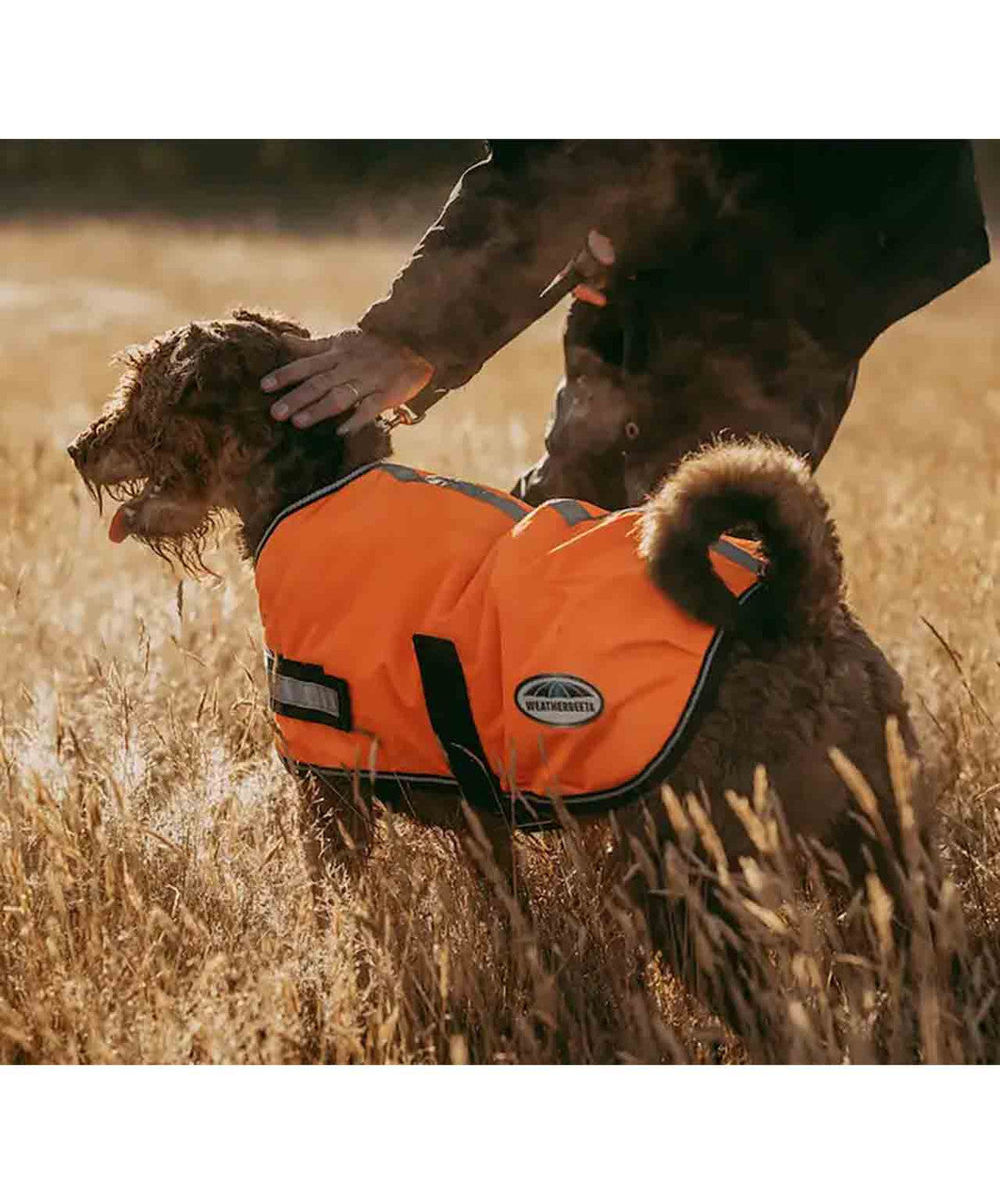 Weatherbeeta Comfitec Reflective 300D Dog Blanket.
