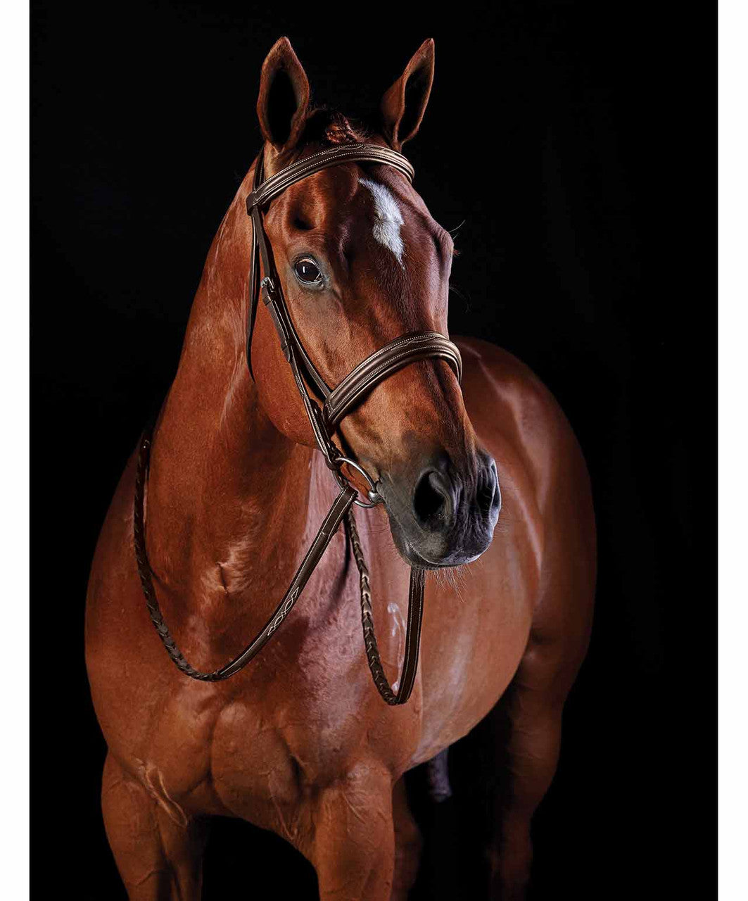 Collegiate Comfort Crown Fancy Stitched Raised Cavesson Bridle.