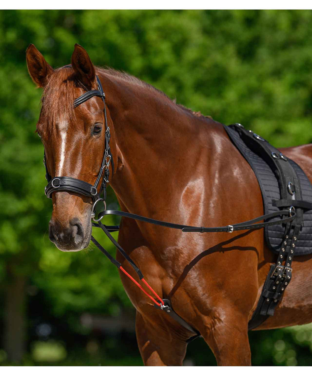 Waldhausen W Training Rein Draw Reins.