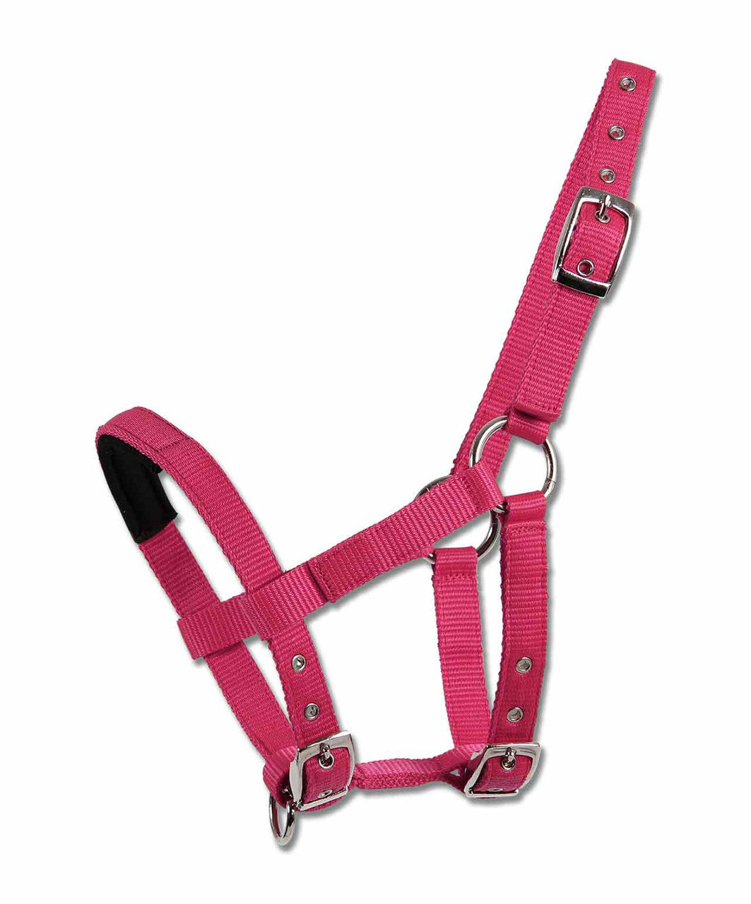 Waldhausen Min-Shetty Padded Halter, Azalea.