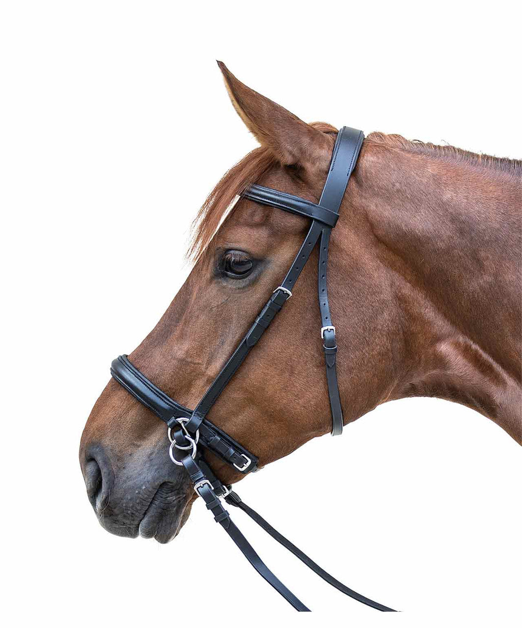 Waldhausen Star Bitless Bridle.